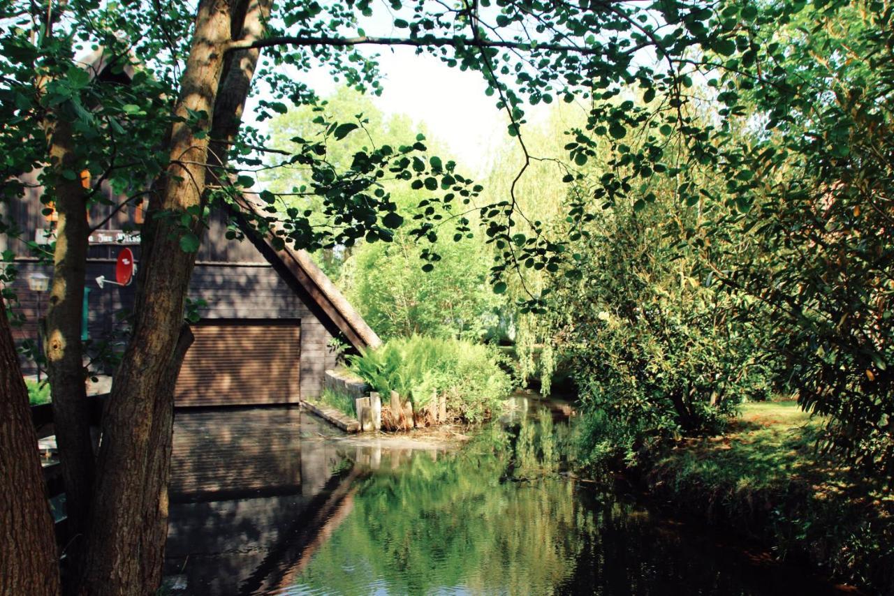 Landgasthof Zur Wildbahn Burg  Exterior photo